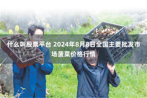 什么叫股票平台 2024年8月8日全国主要批发市场菠菜价格行情