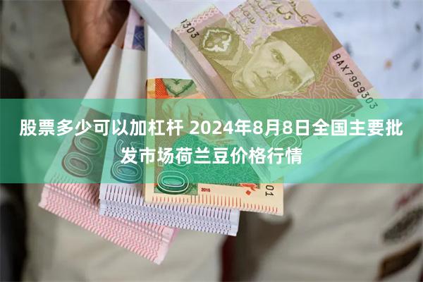 股票多少可以加杠杆 2024年8月8日全国主要批发市场荷兰豆价格行情