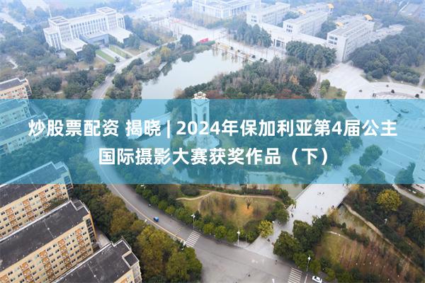 炒股票配资 揭晓 | 2024年保加利亚第4届公主国际摄影大赛获奖作品（下）