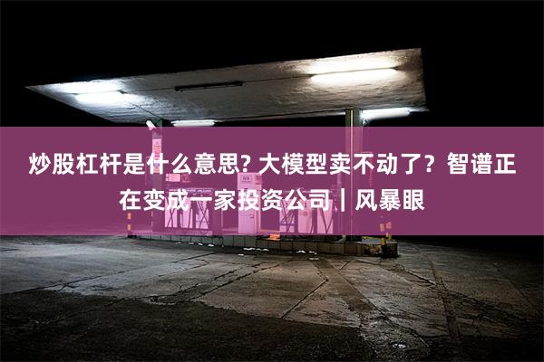 炒股杠杆是什么意思? 大模型卖不动了？智谱正在变成一家投资公司｜风暴眼