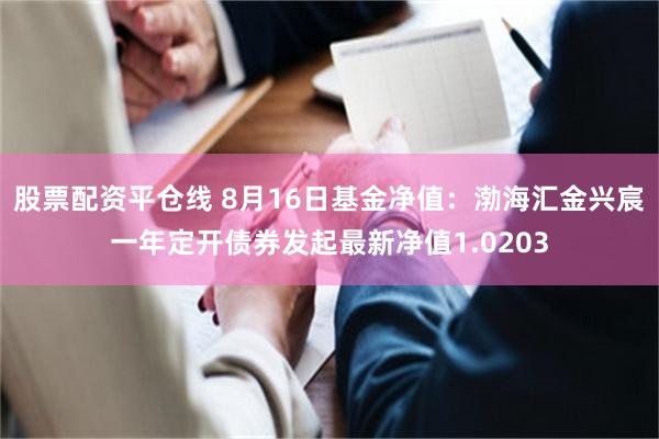 股票配资平仓线 8月16日基金净值：渤海汇金兴宸一年定开债券发起最新净值1.0203