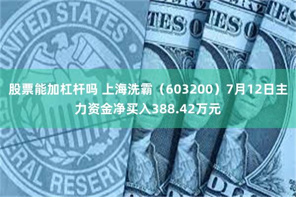 股票能加杠杆吗 上海洗霸（603200）7月12日主力资金净买入388.42万元