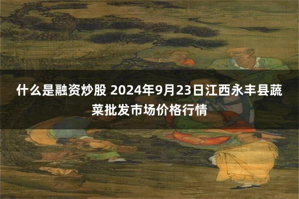 什么是融资炒股 2024年9月23日江西永丰县蔬菜批发市场价格行情