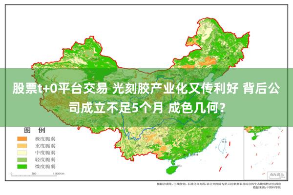 股票t+0平台交易 光刻胶产业化又传利好 背后公司成立不足5个月 成色几何？