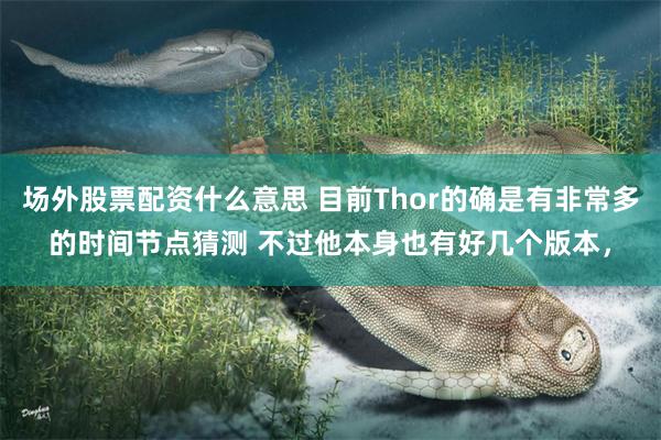 场外股票配资什么意思 目前Thor的确是有非常多的时间节点猜测 不过他本身也有好几个版本，