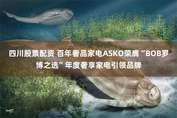 四川股票配资 百年奢品家电ASKO荣膺“BOB罗博之选”年度奢享家电引领品牌