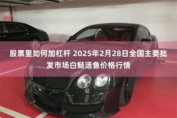 股票里如何加杠杆 2025年2月28日全国主要批发市场白鲢活鱼价格行情