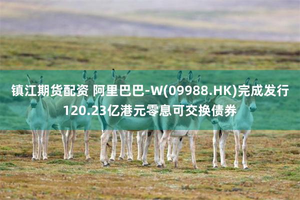镇江期货配资 阿里巴巴-W(09988.HK)完成发行120.23亿港元零息可交换债券